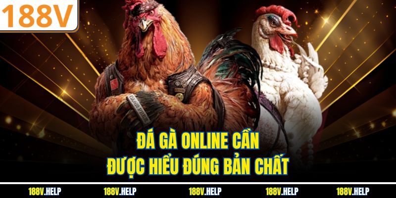 Đá gà online cần được hiểu đúng bản chất