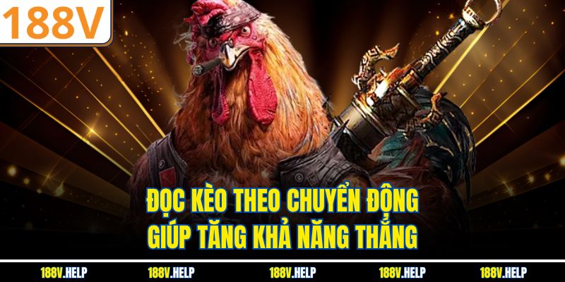 Đọc kèo theo chuyển động giúp tăng khả năng thắng